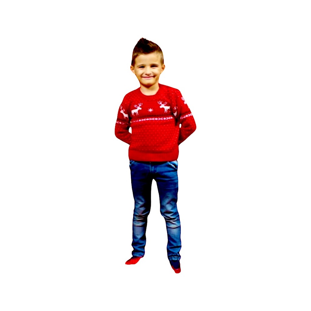 Unisex Children’s Holiday Sweater 2T EUC